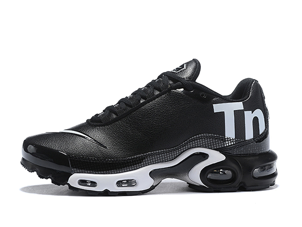 nike air max tn gris