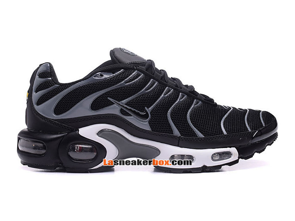 nike tn couleur